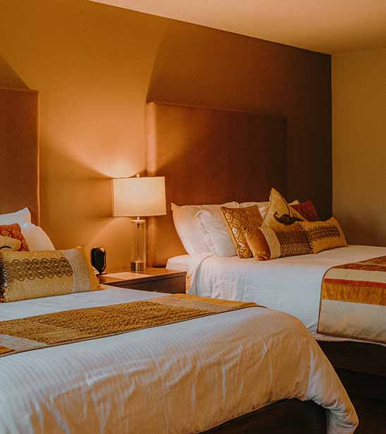 Comfort Suite (1)