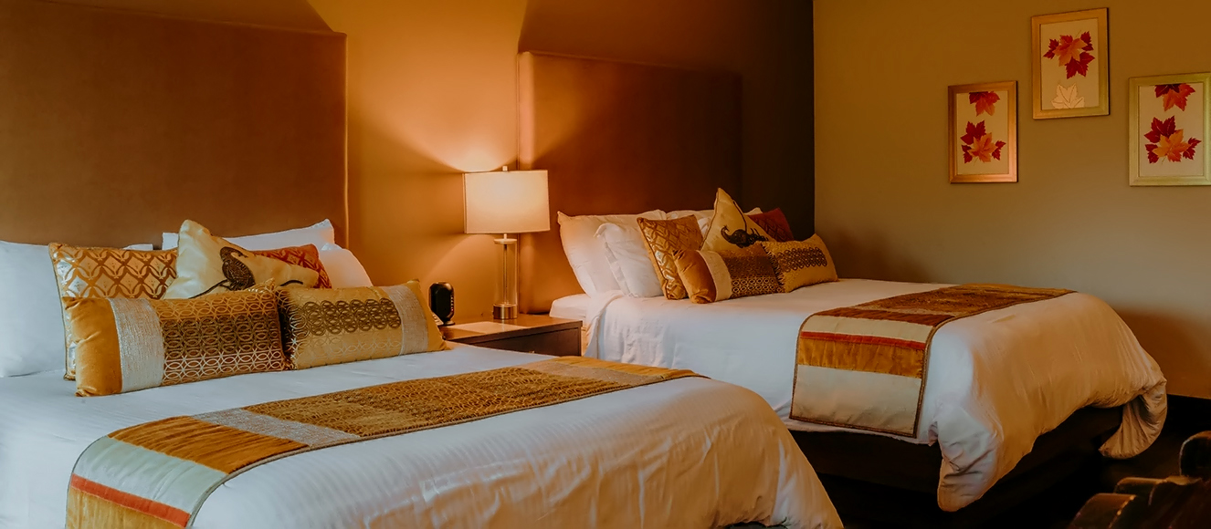 Comfort Suite