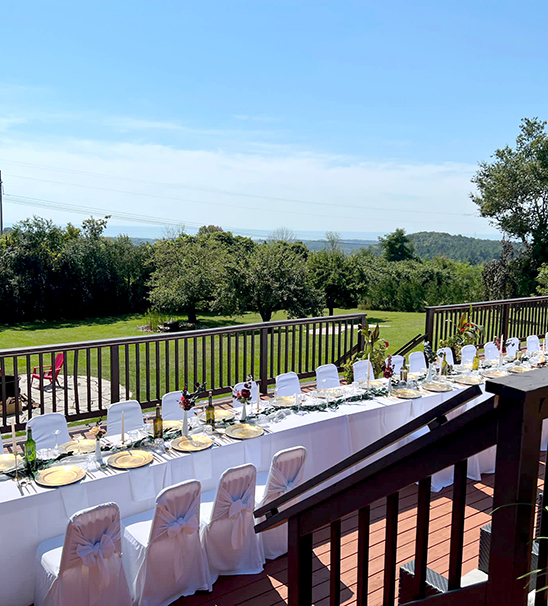 Deck Area Width 548px; Height 606px